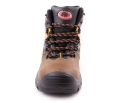 BEARFIELD TRZEWIK K08 S3 SRC 3.jpg