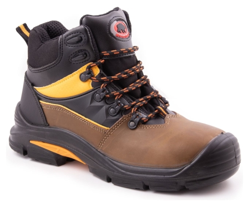 BEARFIELD TRZEWIK K08 S3 SRC 1.jpg