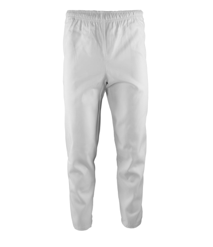 BRIXTON WHITE SPODNIE 1.jpg