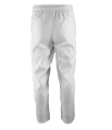 BRIXTON WHITE SPODNIE2.jpg
