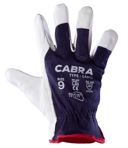 cabra-3.jpg